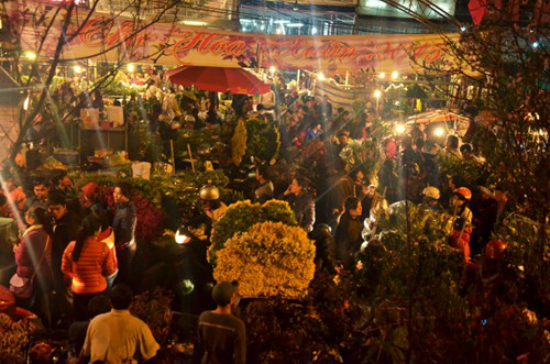 Куангба – своеобразный ночной цветочный рынок Ханоя - ảnh 1